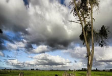 欢乐棋牌真的能带来纯粹的欢乐吗?