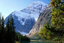 克罗地亚vs巴西的比赛有哪些精彩回放瞬间?