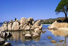 乌迪内斯足球俱乐部,意甲赛场的造星工厂与独特生存之道?